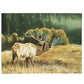 Plush Blanket - Misty Morning Bull Elk Watercolor Painting