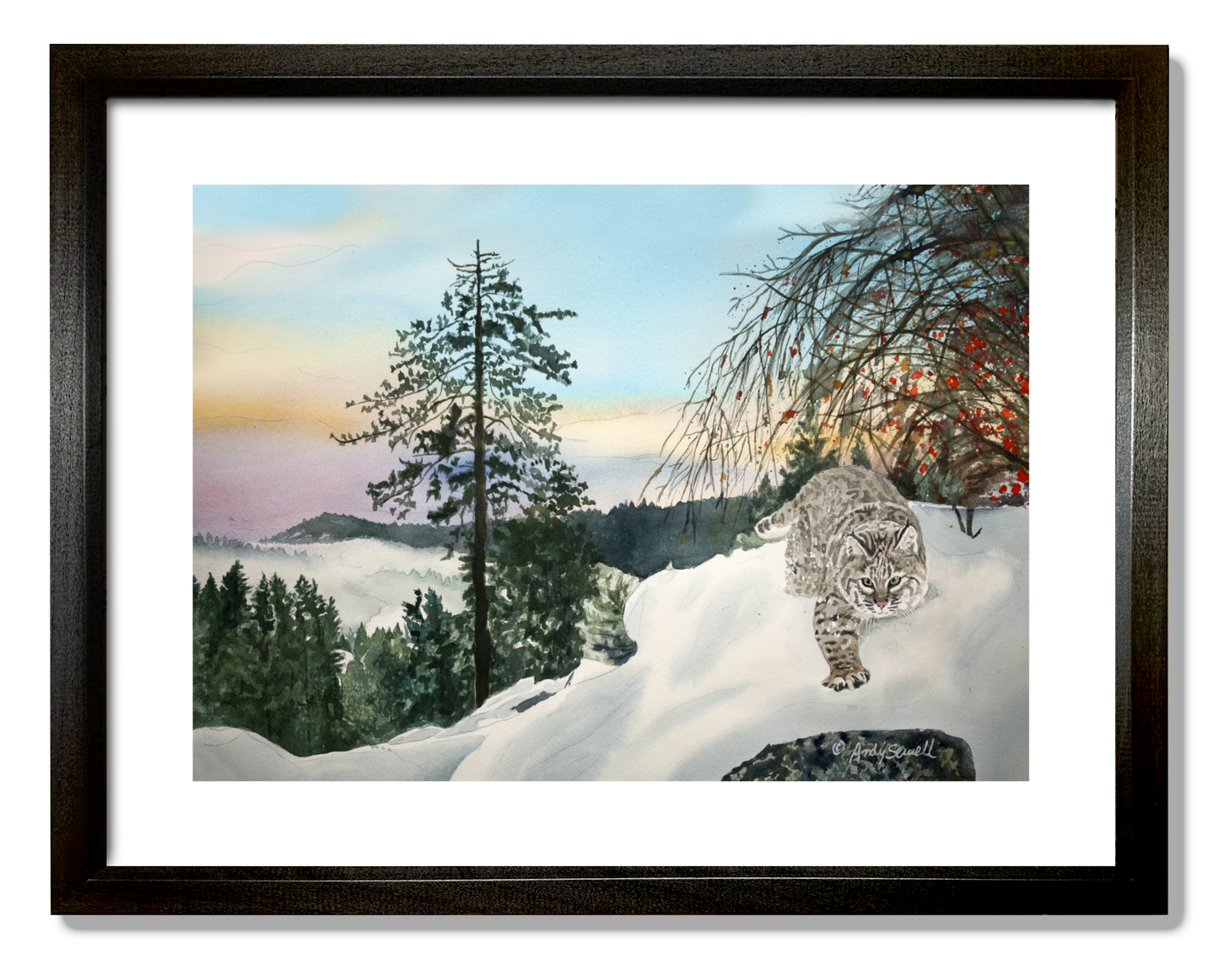 "Winter Bobcat" - 14x22, signed Giclée reprod. from a watercolor