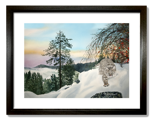 "Winter Bobcat" - 14x22, signed Giclée reprod. from a watercolor