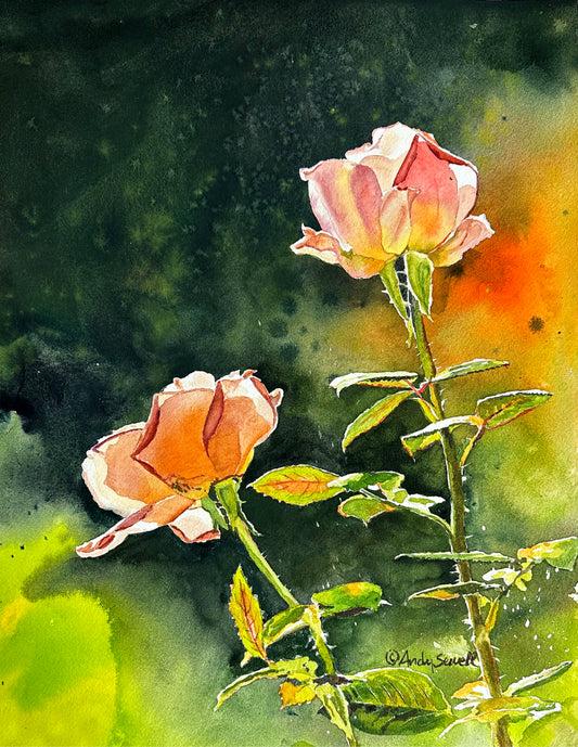 "Rose Duet" - 12x16 Original watercolor or signed edition giclee art print of 2 garden roses.