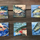 "Trout Fish" themed coaster set (4 options available).