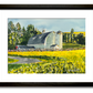 "Canola at the Barn" - 10"x14" Original watercolor, framed in 14x18