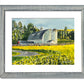 "Canola at the Barn" - 10"x14" Original watercolor, framed in 14x18