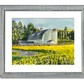 "Canola at the Barn" - 10"x14" Original watercolor, framed in 14x18
