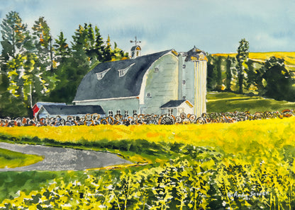 "Canola at the Barn" - 10"x14" Original watercolor, framed in 14x18
