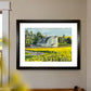 "Canola at the Barn" - 10"x14" Original watercolor, framed in 14x18