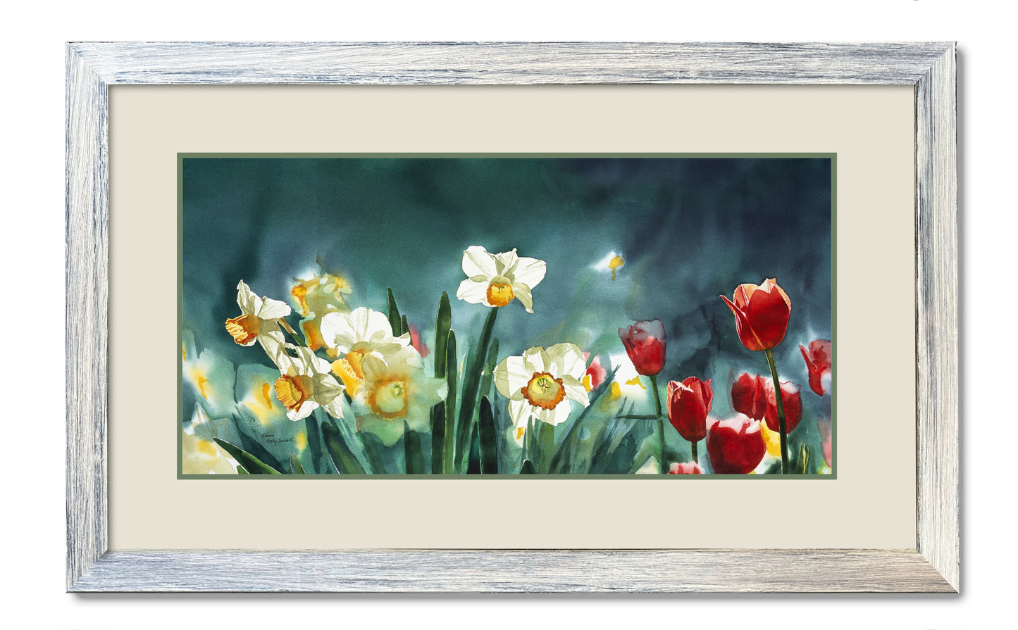 "Daffodil Days" - 19"x 42" A signed edition Giclee art print from an Original watercolor of Daffodils & Tulips