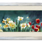 "Daffodil Days" - 19"x 42" A signed edition Giclee art print from an Original watercolor of Daffodils & Tulips