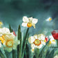 "Daffodil Days" - 19"x 42" A signed edition Giclee art print from an Original watercolor of Daffodils & Tulips