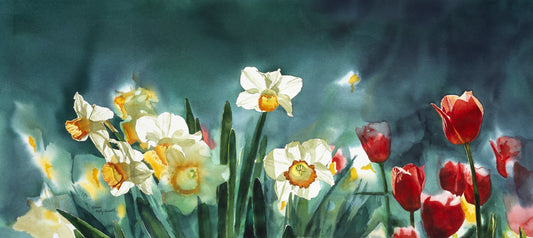 "Daffodil Days" - 19"x 42" A signed edition Giclee art print from an Original watercolor of Daffodils & Tulips