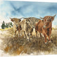 "Highlander Trio" 11x14 Original watercolor or signed edition Giclee Reprod.