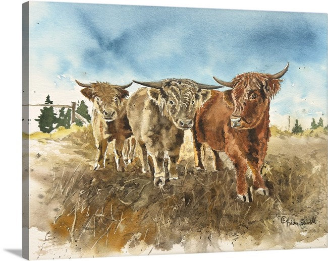 "Highlander Trio" 11x14 Original watercolor or signed edition Giclee Reprod.