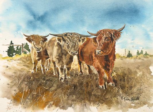 "Highlander Trio" 11x14 Original watercolor or signed edition Giclee Reprod.