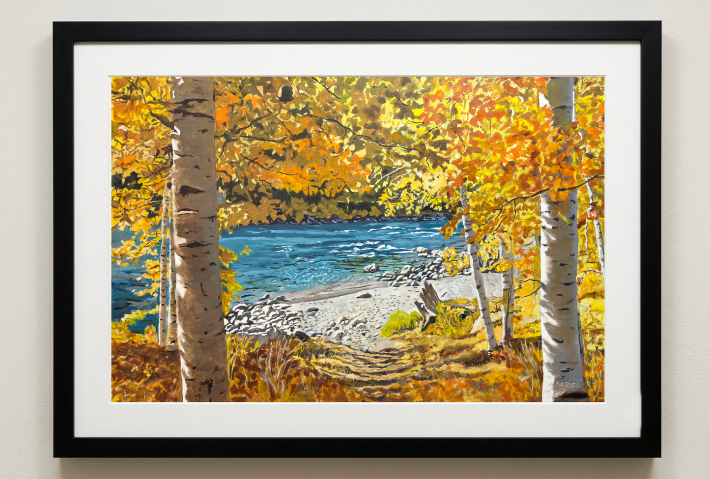 "October River Aspens" - 55x37 Original Acrylic on Canvas