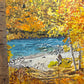"October River Aspens" - 55x37 Original Acrylic on Canvas or Giclee Prints