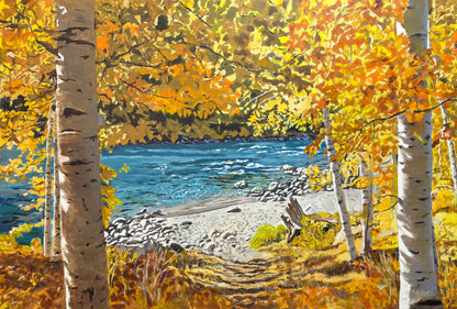 "October River Aspens" - 55x37 Original Acrylic on Canvas