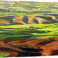 "Palouse Spring Morning Light" 24x36 - a giclee reprod. from oil painting of the Northwest Palouse country landscape