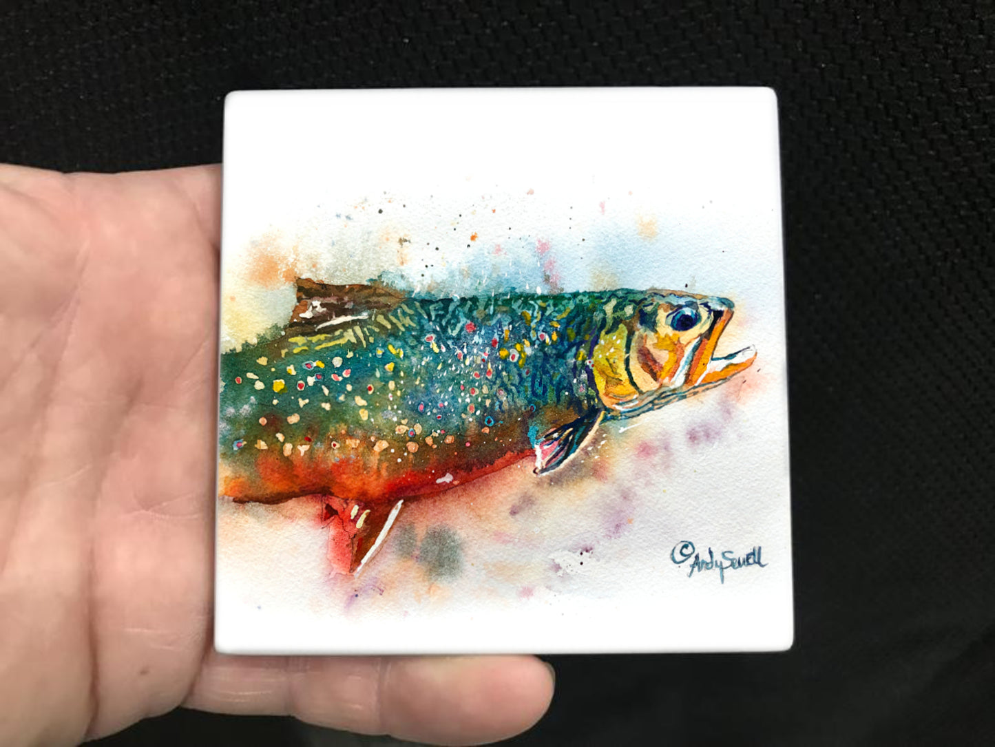 ASC504 "Splashy Brook Trout" ceramic coaster