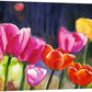 "Sunny Day Tulips" 18"x40" - a limited edition s/n giclee art print  from an original watercolor of tulips glowing in the sun40"