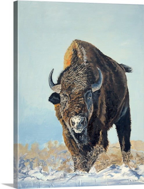 "Thunder in the Snow" - 36x48 Oil on Panel  ~ American Bison in the winter snow.