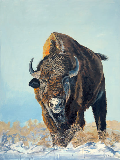 "Thunder in the Snow" - 36x48 Oil on Panel  ~ American Bison in the winter snow.