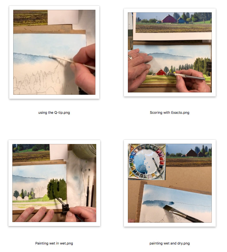 Online Watercolor Courses: (click the GREEN link below to see, preview & BUY courses)