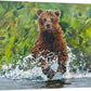 "Bear Splashes" - 36"x55" Original oil on canvas or Giclée art print