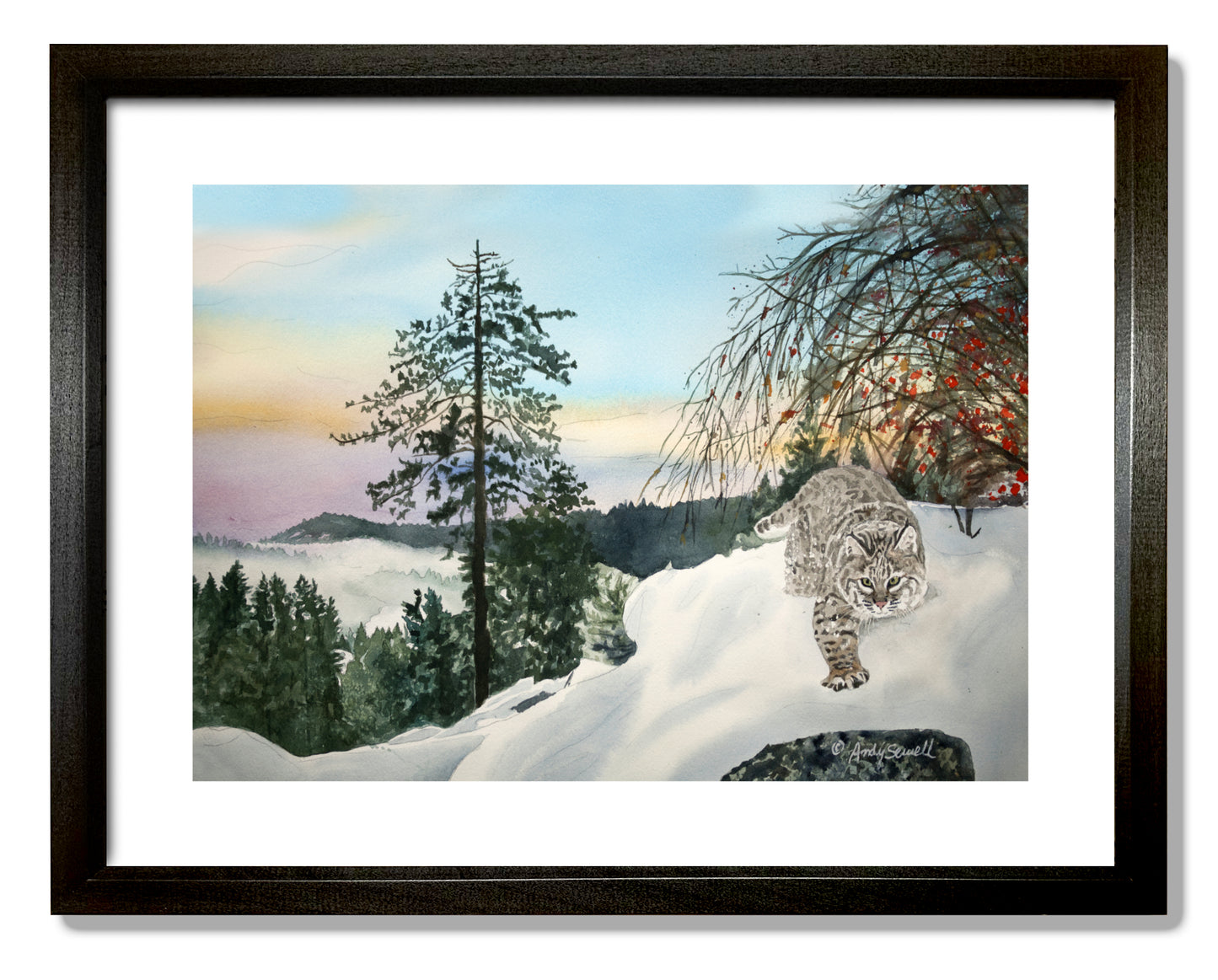 "Winter Bobcat" - 14x22, signed Giclée reprod. from a watercolor