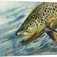 "Brown Trout Sparkle" - 8"x12" original watercolor