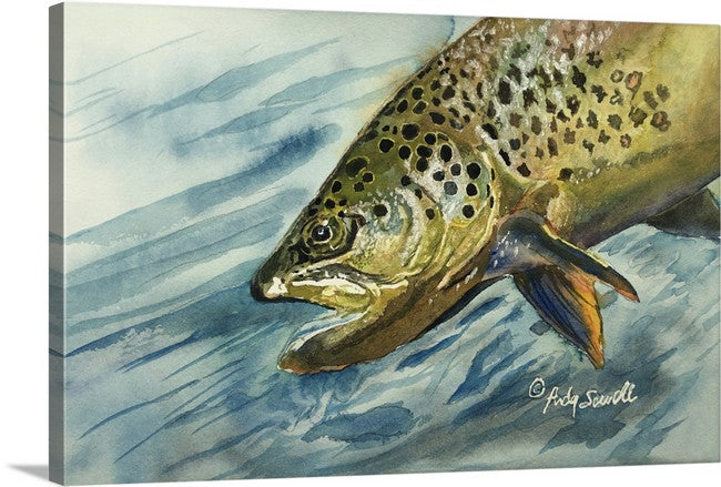 "Brown Trout Sparkle" - 8"x12" original watercolor