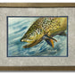 "Brown Trout Sparkle" - 8"x12" original watercolor