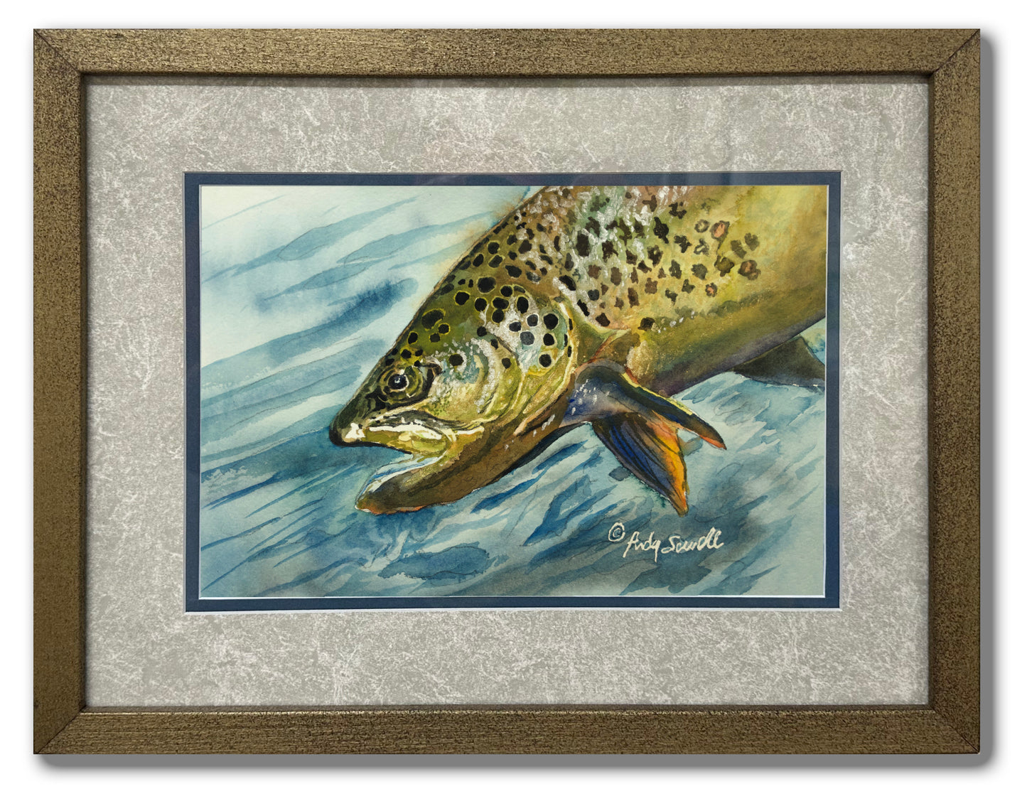 "Brown Trout Sparkle" - 8"x12" original watercolor