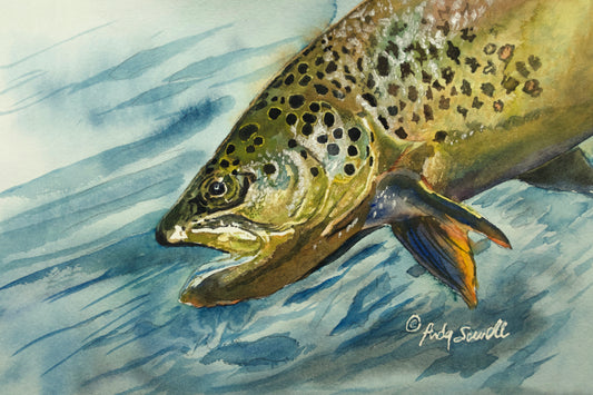 "Brown Trout Sparkle" - 8"x12" original watercolor