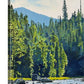 "Casting Among the Rocks" - 24"x36" an oil painting of a Fly-fisherman on North Idaho's Lochsa River.