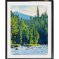 "Casting Among the Rocks" - 24"x36" an oil painting of a Fly-fisherman on North Idaho's Lochsa River.
