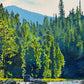 "Casting Among the Rocks" - 24"x36" an oil painting of a Fly-fisherman on North Idaho's Lochsa River.