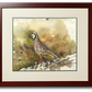 "Chukar Chillin' " - 11"x15" Original Watercolor or giclee print.