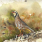 "Chukar Chillin' " - 11"x15" Original Watercolor or giclee print.