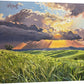 "Country Evening Sunbreak" 36x55- an Original oil painting of the Northwest Palouse Country Landscape