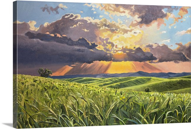 "Country Evening Sunbreak" 36x55- an Original oil painting of the Northwest Palouse Country Landscape