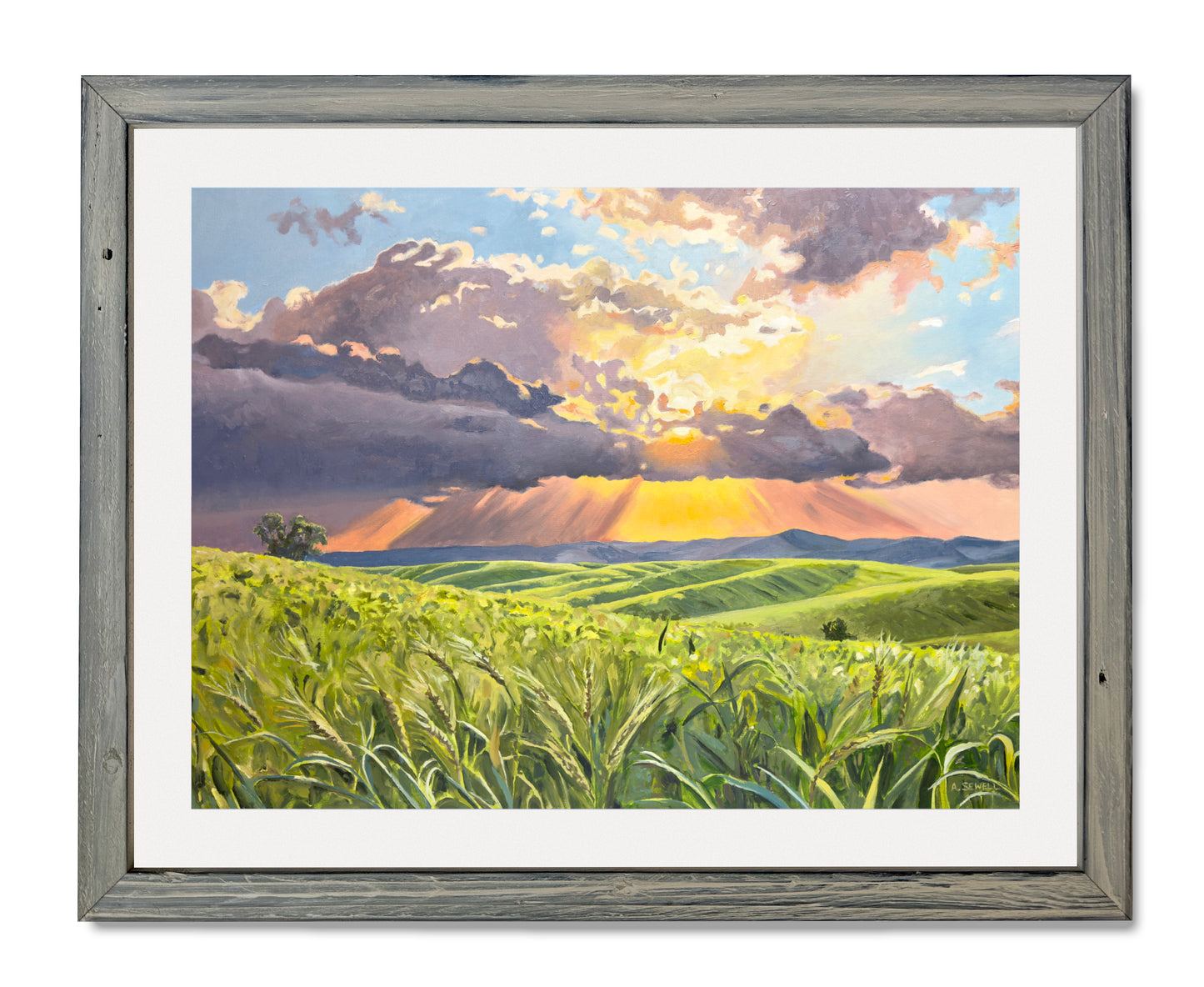 "Country Evening Sunbreak" 36x55- an Original oil painting of the Northwest Palouse Country Landscape