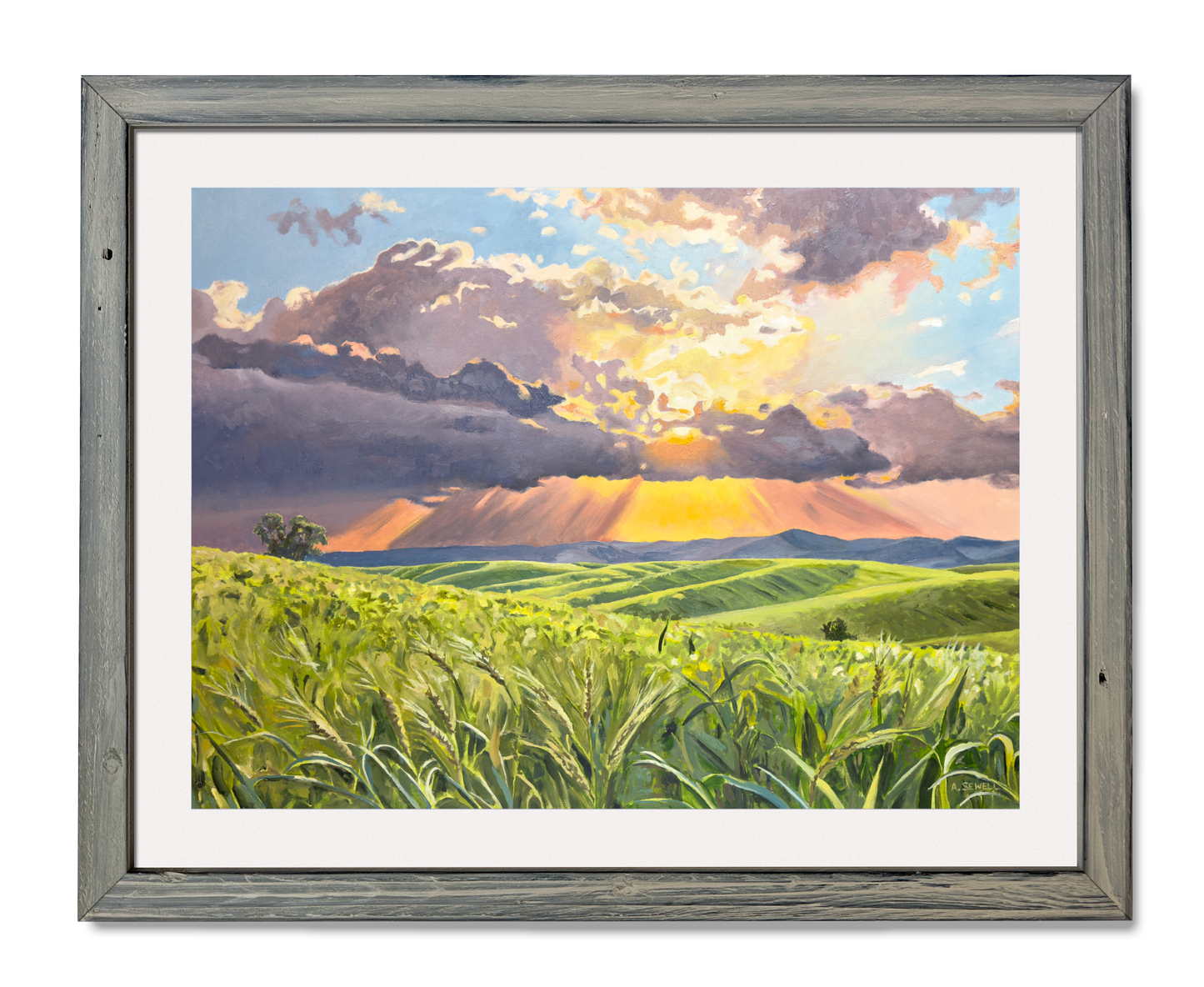 "Country Evening Sunbreak" 36x55- an Original oil painting of the Northwest Palouse Country Landscape