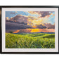 "Country Evening Sunbreak" 36x55- an Original oil painting of the Northwest Palouse Country Landscape