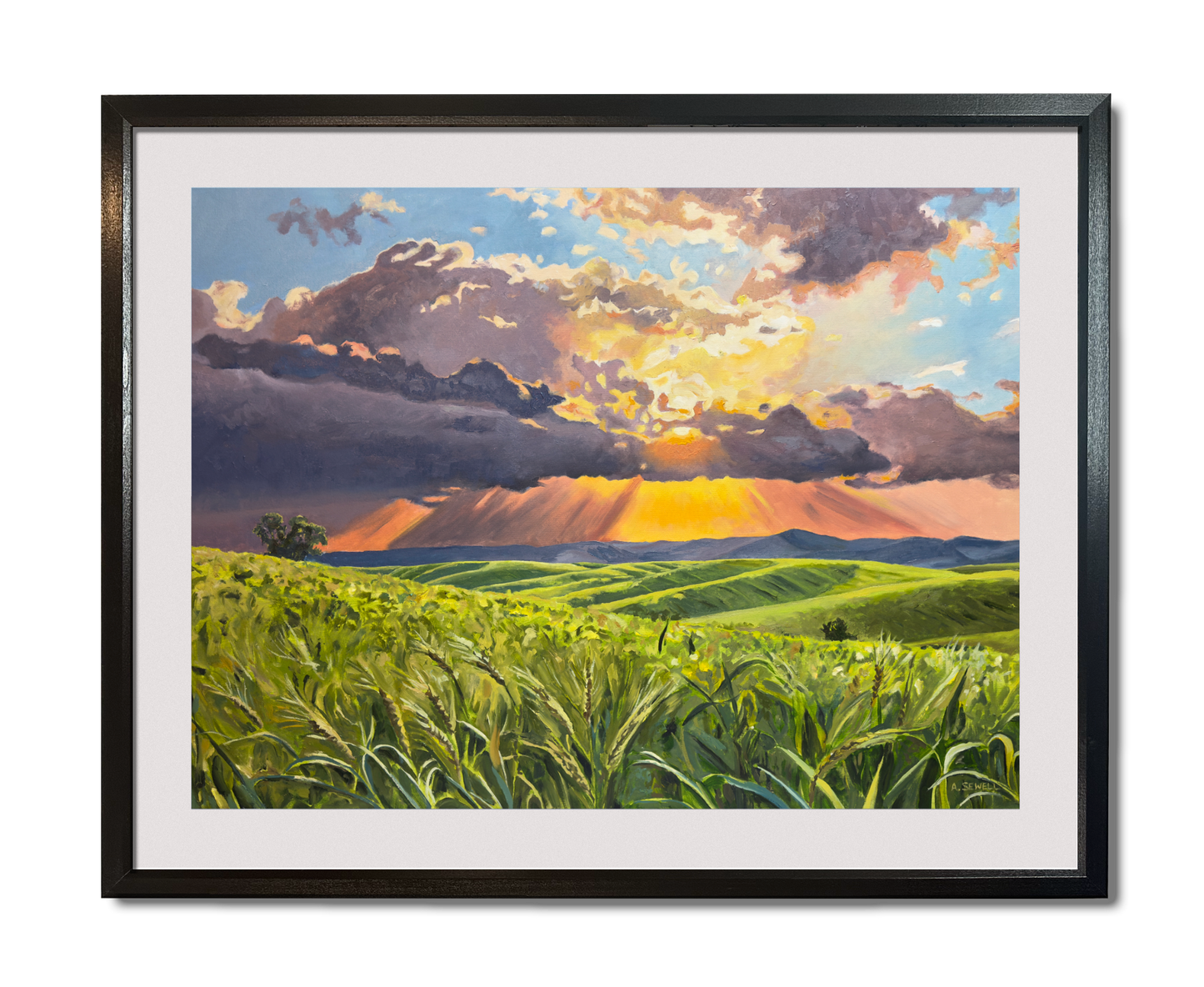 "Country Evening Sunbreak" 36x55- an Original oil painting of the Northwest Palouse Country Landscape