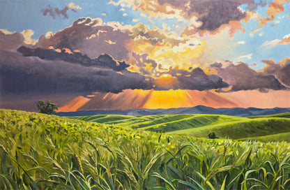 "Country Evening Sunbreak" 36x55- an Original oil painting of the Northwest Palouse Country Landscape