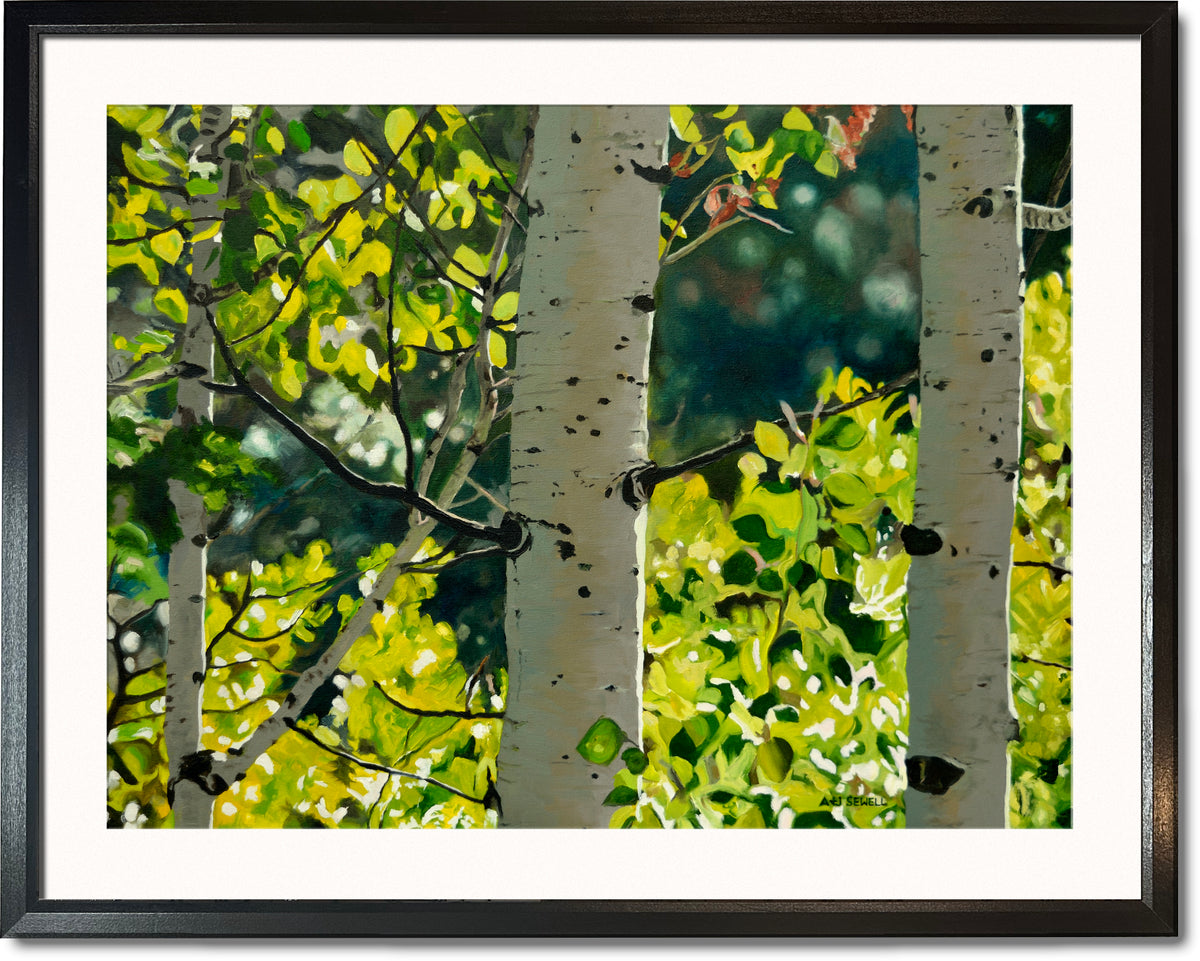 "Forest Symphony", - 48"x30" signed/inspected Giclée of Idaho's Aspen Trees in the Summer