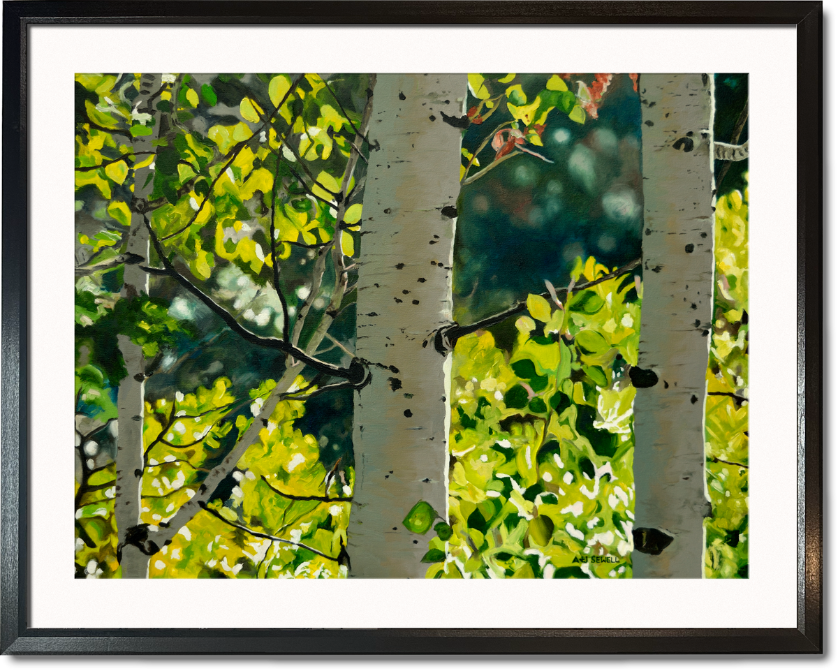 "Forest Symphony", - 48"x30" signed/inspected Giclée of Idaho's Aspen Trees in the Summer