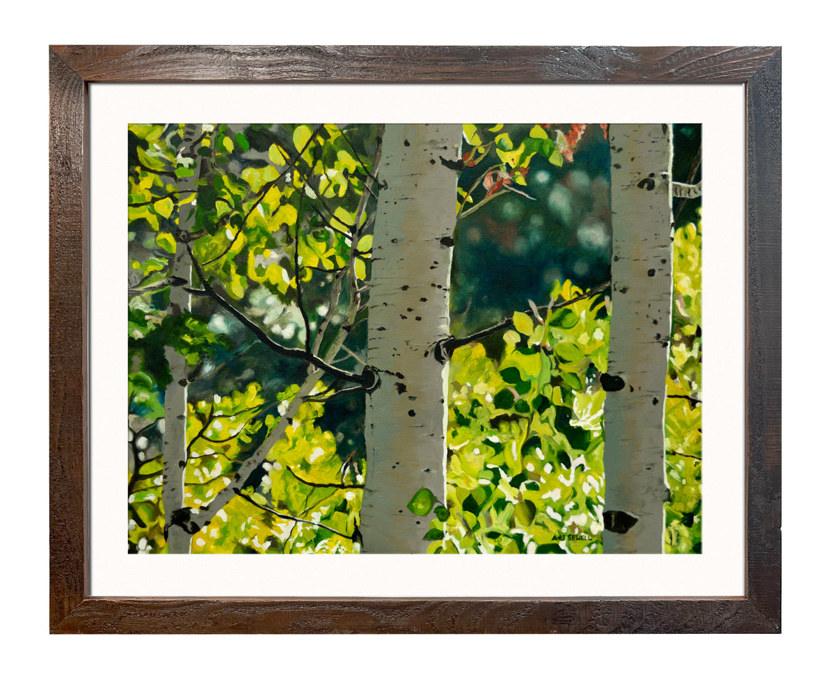 "Forest Symphony", - 48"x30" signed/inspected Giclée of Idaho's Aspen Trees in the Summer