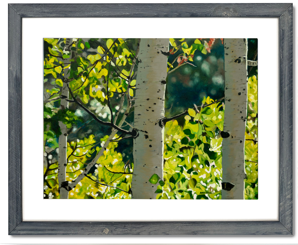"Forest Symphony", - 48"x30" signed/inspected Giclée of Idaho's Aspen Trees in the Summer