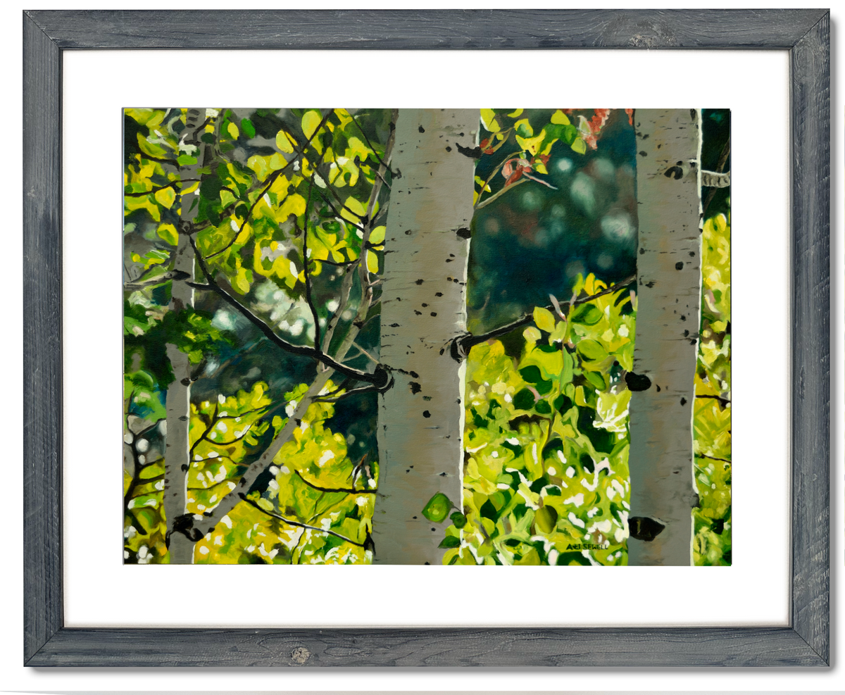 "Forest Symphony", - 48"x30" signed/inspected Giclée of Idaho's Aspen Trees in the Summer